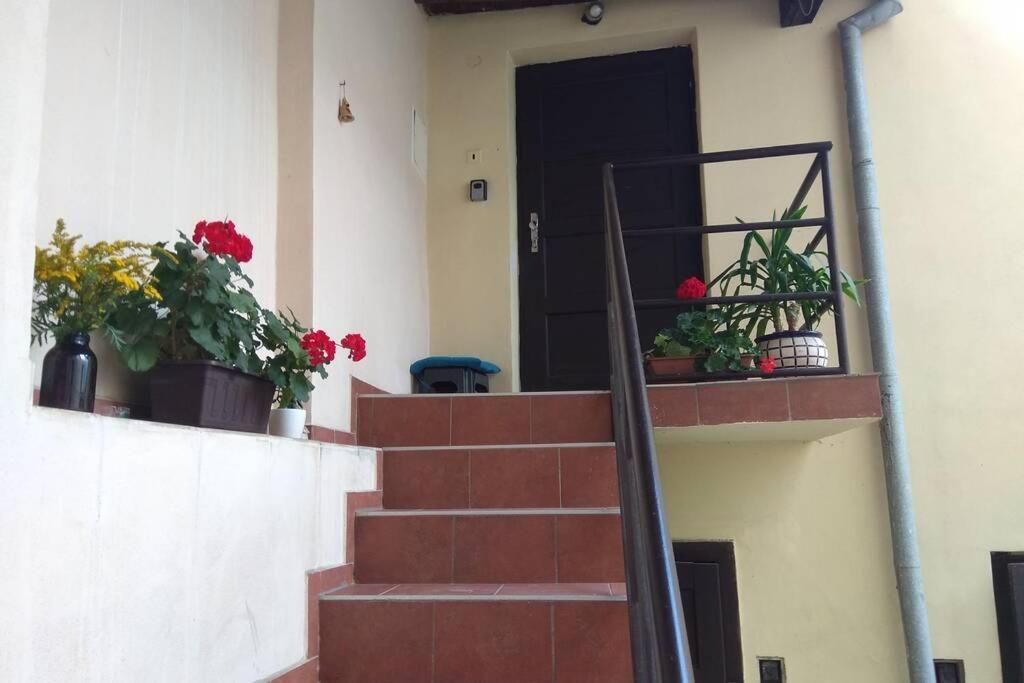 Apartman V Centru Olomouc Buitenkant foto